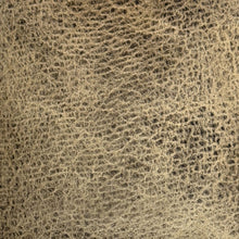 Load image into Gallery viewer, Twilight