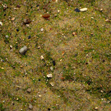 Load image into Gallery viewer, Base Ready Mediterranean Soil - ModelBricks