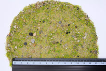 Load image into Gallery viewer, Base Ready Mediterranean Soil - ModelBricks