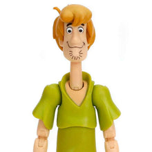 Load image into Gallery viewer, Scooby-Doo! Wave 1 Shaggy 1:12 Scale Action Figure