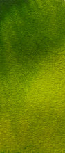 Load image into Gallery viewer, Sap Green - ModelBricks