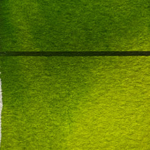 Load image into Gallery viewer, Sap Green - ModelBricks