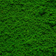 Load image into Gallery viewer, Coarse Flock - Woodland Fern Light Green
