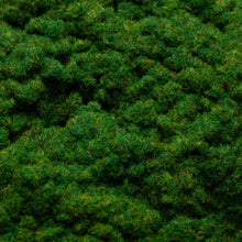 Load image into Gallery viewer, Static Grass - Summer
