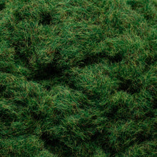 Load image into Gallery viewer, Static Grass - Summer

