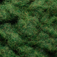 Load image into Gallery viewer, Static Grass - Summer
