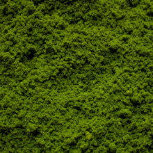 Load image into Gallery viewer, Coarse Flock - Rainforest Canopy
