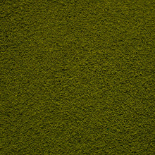 Load image into Gallery viewer, Fine Flock - Rainforest Canopy
