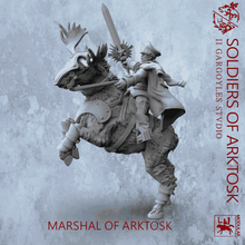 Load image into Gallery viewer, Marshal of Arktosk | Detailed Bear or Moose Mount
