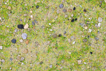 Load image into Gallery viewer, Base Ready Mediterranean Soil - ModelBricks

