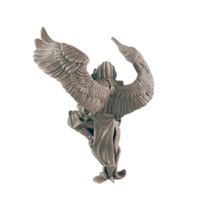 Load image into Gallery viewer, Monk Birdkin Male - ModelBricks
