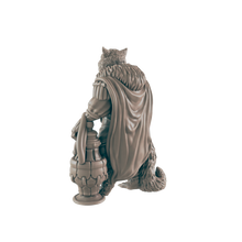 Load image into Gallery viewer, Catfolk Male Noble 2 - ModelBricks
