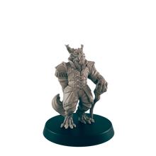 Load image into Gallery viewer, Catfolk Noble - ModelBricks
