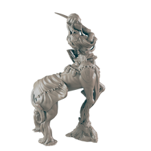Load image into Gallery viewer, Centaur Female
