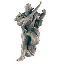 Load image into Gallery viewer, Dark Elf Warrior
