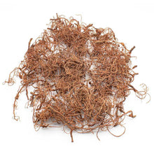 Load image into Gallery viewer, Green Stuff World: Diorama Tree Roots - ModelBricks
