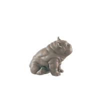Load image into Gallery viewer, Dogs
