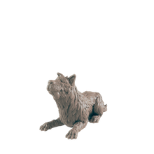 Load image into Gallery viewer, Dogs
