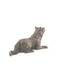 Load image into Gallery viewer, Dogs
