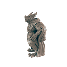 Load image into Gallery viewer, Dragonkin Noble
