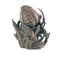 Load image into Gallery viewer, Drider
