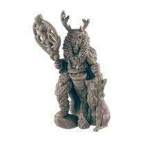 Load image into Gallery viewer, Druid Human Male - ModelBricks

