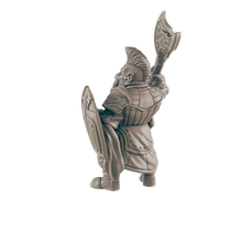 Load image into Gallery viewer, Fighter Dwarf Male - ModelBricks
