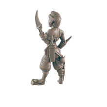 Load image into Gallery viewer, Elf Female Assassion
