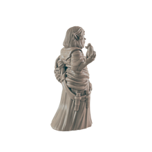 Load image into Gallery viewer, Female Elven Herbalist
