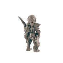 Load image into Gallery viewer, Dragonkin Female Swashbuckler - ModelBricks
