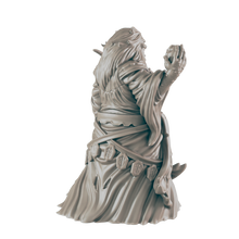 Load image into Gallery viewer, Hag 2
