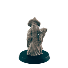 Load image into Gallery viewer, Hedge Wizard
