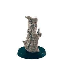 Load image into Gallery viewer, Hedge Wizard
