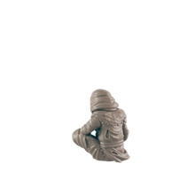 Load image into Gallery viewer, Leper
