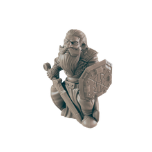 Load image into Gallery viewer, Paladin Dwarf Male
