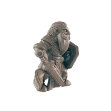 Load image into Gallery viewer, Paladin Dwarf Male
