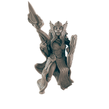 Load image into Gallery viewer, Paladin Human Female

