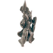 Load image into Gallery viewer, Paladin Human Female
