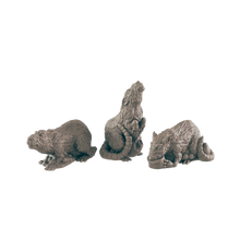 Load image into Gallery viewer, Rats
