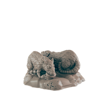 Load image into Gallery viewer, Rats
