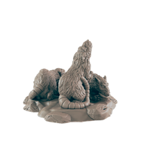 Load image into Gallery viewer, Rats
