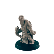 Load image into Gallery viewer, Turtlefolk Old Sage
