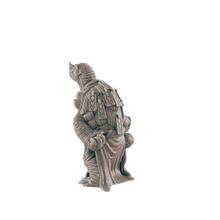 Load image into Gallery viewer, Turtlefolk Old Sage
