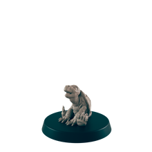 Load image into Gallery viewer, Turtlefolk Baby
