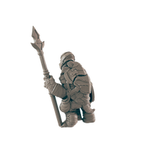 Load image into Gallery viewer, Turtlefolk Guardsman
