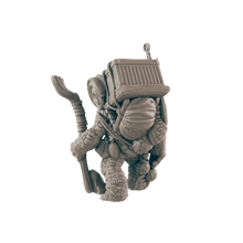Load image into Gallery viewer, Turtlefolk Old Wanderer
