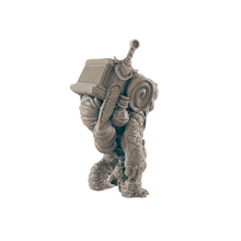 Load image into Gallery viewer, Turtlefolk Old Wanderer
